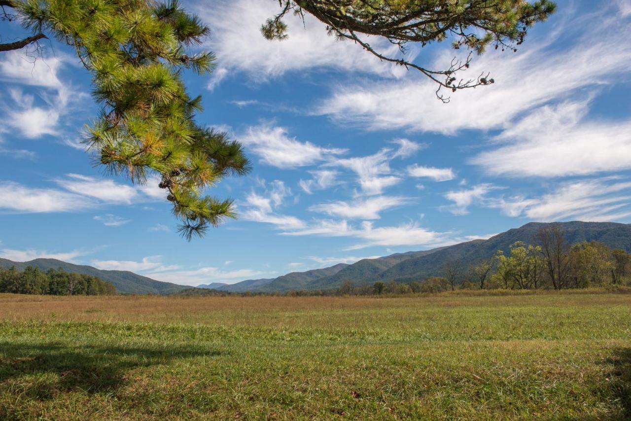 Peaceful Setting Cabin Villa Pigeon Forge Exterior photo